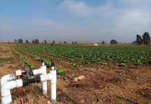 Pequeños agricultores del Norte Chico podrán postular a concurso de la Ley de Riego para proyectos no seleccionados