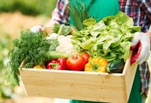 Pérdida y desperdicio de alimentos: especialista UOH advierte su impacto en el agua, el suelo y la energía Pérdida y desperdicio de alimentos: especialista UOH advierte su impacto en el agua, el suelo y la energía