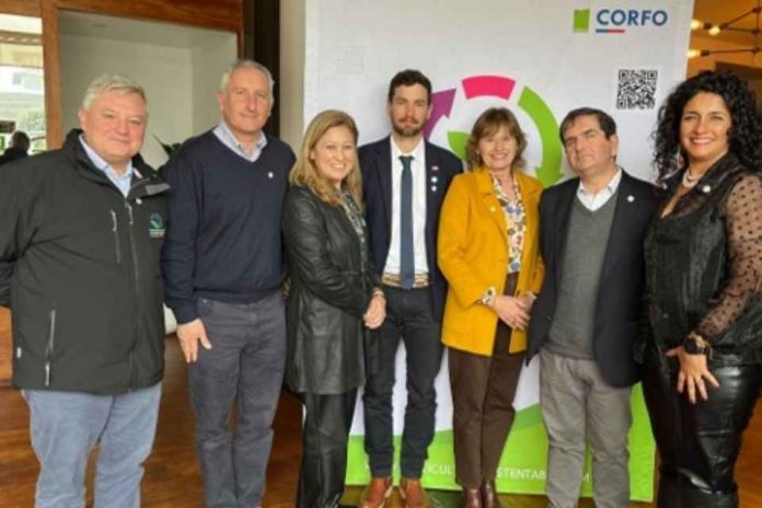 PerfrutS cierra una década de innovación y sustentabilidad y proyecta su legado a través de AgroQuinta PerfrutS cierra una década de innovación y sustentabilidad y proyecta su legado a través de AgroQuinta