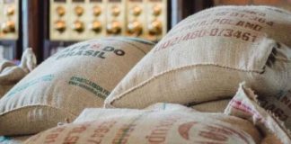 Perú | Emergencia en mercados: plaguicidas prohibidos por el TC podían comprarse sin aval de un ingeniero agrónomo Perú | Emergencia en mercados: plaguicidas prohibidos por el TC podían comprarse sin aval de un ingeniero agrónomo
