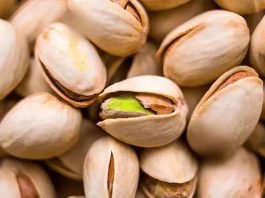 Pistacho se abre paso como alternativa rentable para el agro