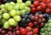 Primera Estimación de la Temporada 2026-27: En torno a 16% crecerían los envíos de uvas de mesa chilena al mundo con una participación del 72% de variedades licenciadas Primera Estimación de la Temporada 2026-27: En torno a 16% crecerían los envíos de uvas de mesa chilena al mundo con una participación del 72% de variedades licenciadas
