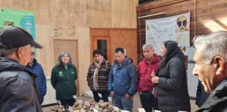Productores de papa de la localidad de Nogales realizaron visita técnica a la UACh