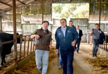 Programa apoyará a 17 productores lecheros de Ñuble para incorporar tecnología y fortalecer el sector Programa apoyará a 17 productores lecheros de Ñuble para incorporar tecnología y fortalecer el sector