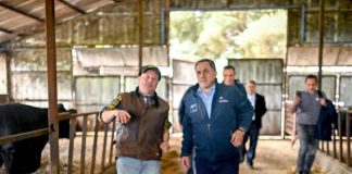 Programa apoyará a 17 productores lecheros de Ñuble para incorporar tecnología y fortalecer el sector Programa apoyará a 17 productores lecheros de Ñuble para incorporar tecnología y fortalecer el sector