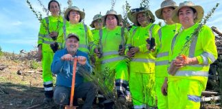 Programa de Emergencia de Empleo de CONAF realizó jornada de plantación de árboles nativos en predio afectado por incendio en Quirihue Programa de Emergencia de Empleo de CONAF realizó jornada de plantación de árboles nativos en predio afectado por incendio en Quirihue