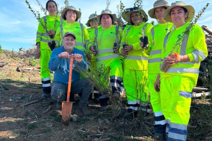 Programa de Emergencia de Empleo de CONAF realizó jornada de plantación de árboles nativos en predio afectado por incendio en Quirihue Programa de Emergencia de Empleo de CONAF realizó jornada de plantación de árboles nativos en predio afectado por incendio en Quirihue