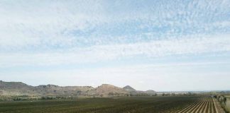 ¿Qué factores están impulsando el valor del suelo agrícola en Chile?