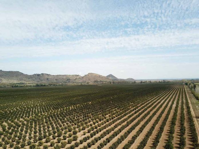 ¿Qué factores están impulsando el valor del suelo agrícola en Chile? ¿Qué factores están impulsando el valor del suelo agrícola en Chile?