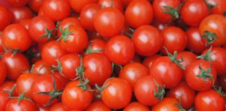 Recomendaciones para elegir, conservar y evitar el desperdicio de alimentos durante las Fiestas Patrias Recomendaciones para elegir, conservar y evitar el desperdicio de alimentos durante las Fiestas Patrias
