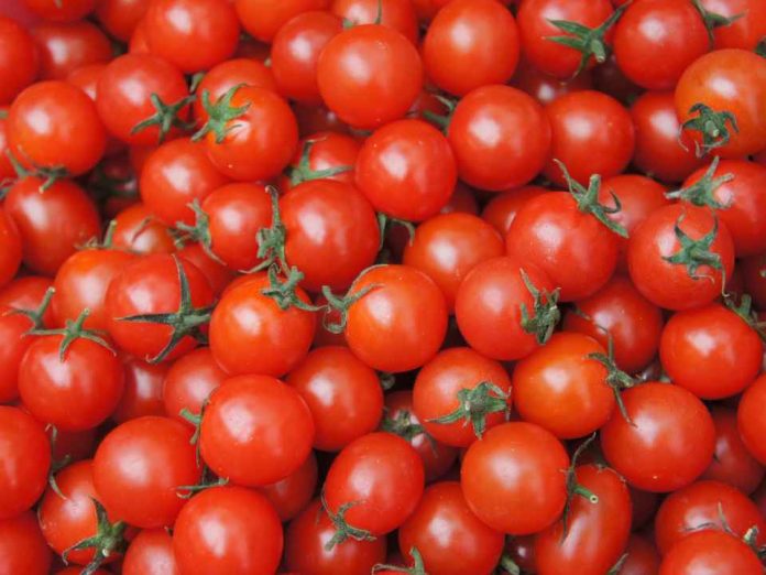 Recomendaciones para elegir, conservar y evitar el desperdicio de alimentos durante las Fiestas Patrias
