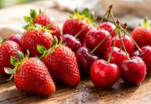 Reportaje | Suelos del Maule: la revisión que cerezos y frutillas necesitan antes de que llegue la primavera Reportaje | Suelos del Maule: la revisión que cerezos y frutillas necesitan antes de que llegue la primavera