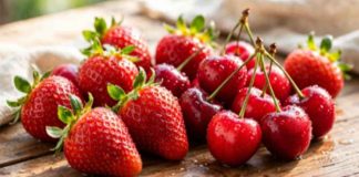 Reportaje | Suelos del Maule: la revisión que cerezos y frutillas necesitan antes de que llegue la primavera