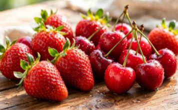 Reportaje | Suelos del Maule: la revisión que cerezos y frutillas necesitan antes de que llegue la primavera Reportaje | Suelos del Maule: la revisión que cerezos y frutillas necesitan antes de que llegue la primavera