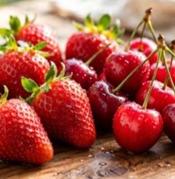 Reportaje | Suelos del Maule: la revisión que cerezos y frutillas necesitan antes de que llegue la primavera Reportaje | Suelos del Maule: la revisión que cerezos y frutillas necesitan antes de que llegue la primavera