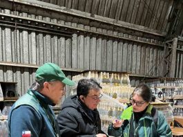 SAG Biobío fiscaliza cumplimiento de Ley de Alcoholes en empresa elaboradora de licores de Coronel SAG Biobío fiscaliza cumplimiento de Ley de Alcoholes en empresa elaboradora de licores de Coronel