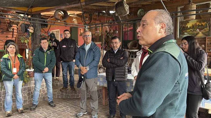 Siete comunas de Biobío se incorporan a zonificación vitivinícola Siete comunas de Biobío se incorporan a zonificación vitivinícola