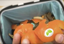 Sinclair aborda el comportamiento del consumidor como próximo paso en el etiquetado compostable de frutas Sinclair
