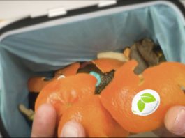 Sinclair aborda el comportamiento del consumidor como próximo paso en el etiquetado compostable de frutas Sinclair
