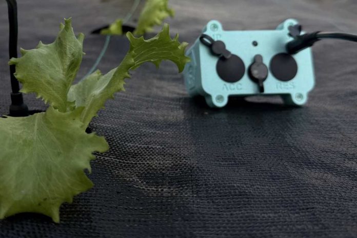 Startup chilena que ayuda a pequeños agricultores a ahorrar agua queda entre las 10 seleccionadas de 625 proyectos latinoamericanos