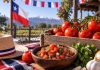 Tomates editados genéticamente para el pebre dieciochero logran producir hasta diez veces más frutos maduros durante el frío