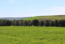 Trump busca un acuerdo para importar fertilizantes de Bielorrusia y no depender de Canadá Trump busca un acuerdo para importar fertilizantes de Bielorrusia y no depender de Canadá