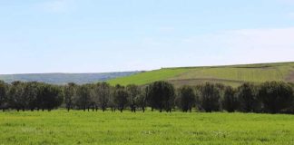 Trump busca un acuerdo para importar fertilizantes de Bielorrusia y no depender de Canadá Trump busca un acuerdo para importar fertilizantes de Bielorrusia y no depender de Canadá