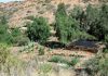 Unidad demostrativa de Cuncumén combina cosecha de agua y recuperación de suelos para diversificar el secano costero Unidad demostrativa de Cuncumén combina cosecha de agua y recuperación de suelos para diversificar el secano costero