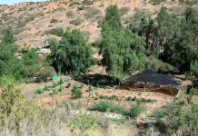Unidad demostrativa de Cuncumén combina cosecha de agua y recuperación de suelos para diversificar el secano costero Unidad demostrativa de Cuncumén combina cosecha de agua y recuperación de suelos para diversificar el secano costero