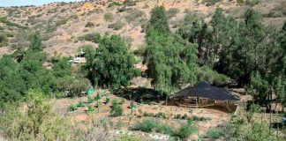Unidad demostrativa de Cuncumén combina cosecha de agua y recuperación de suelos para diversificar el secano costero Unidad demostrativa de Cuncumén combina cosecha de agua y recuperación de suelos para diversificar el secano costero