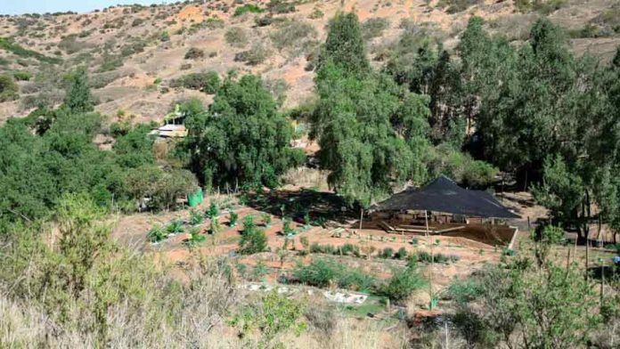 Unidad demostrativa de Cuncumén combina cosecha de agua y recuperación de suelos para diversificar el secano costero Unidad demostrativa de Cuncumén combina cosecha de agua y recuperación de suelos para diversificar el secano costero