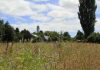 Valor Raíz: Agro chileno crecería 2% en 2026, pero la rentabilidad se concentra en pocos rubros Valor Raíz | Agro chileno crecería 2% en 2026, pero la rentabilidad se concentra en pocos rubros