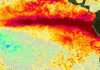 Variabilidad del fenómeno de El Niño y su impacto en la producción agrícola argentina Variabilidad del fenómeno de El Niño y su impacto en la producción agrícola argentina