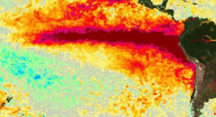 Variabilidad del fenómeno de El Niño y su impacto en la producción agrícola argentina