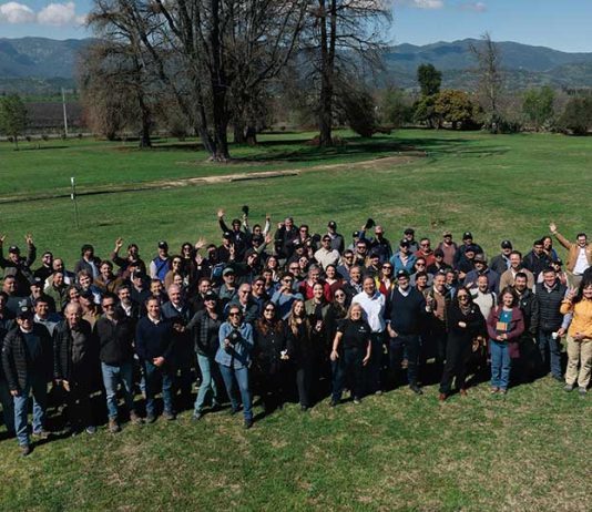 One Block Challenge: Viña Concha y Toro impulsa la agricultura regenerativa en la industria vitivinícola One Block Challenge: Viña Concha y Toro impulsa la agricultura regenerativa en la industria vitivinícola