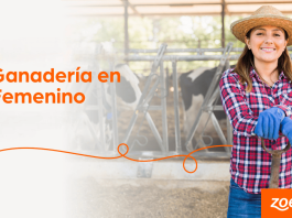 Zoetis abre convocatoria al Premio Ganadería en Femenino Chile 2026 (2)