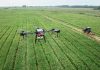Un nuevo estudio cuestiona las suposiciones sobre la agricultura climáticamente inteligente. agricultura climáticamente inteligente.