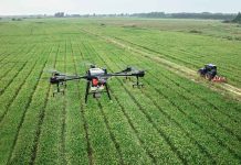 Un nuevo estudio cuestiona las suposiciones sobre la agricultura climáticamente inteligente. agricultura climáticamente inteligente.