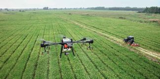 Un nuevo estudio cuestiona las suposiciones sobre la agricultura climáticamente inteligente. agricultura climáticamente inteligente.