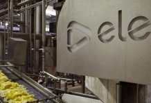 Reportaje | Alemania: Wernsing prueba inteligencia artificial para controlar el procesamiento de papa en tiempo real procesamiento de papa en tiempo real