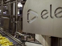 Reportaje | Alemania: Wernsing prueba inteligencia artificial para controlar el procesamiento de papa en tiempo real procesamiento de papa en tiempo real