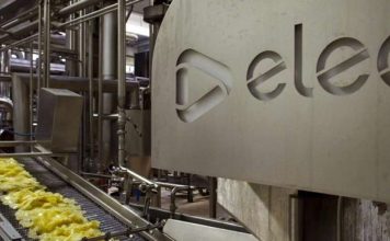 Reportaje | Alemania: Wernsing prueba inteligencia artificial para controlar el procesamiento de papa en tiempo real procesamiento de papa en tiempo real