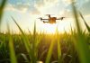 Adaptación y anticipación: la incorporación de tecnologías 4.0 ante los nuevos desafíos del agro chileno Adaptación y anticipación: la incorporación de tecnologías 4.0 ante los nuevos desafíos del agro chileno