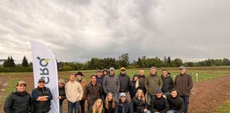 Agricultores de Argentina conocieron trabajo de la UACh en cultivo de cebada Agricultores de Argentina conocieron trabajo de la UACh en cultivo de cebada