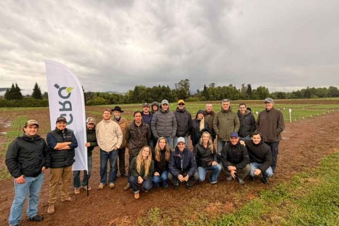 Agricultores de Argentina conocieron trabajo de la UACh en cultivo de cebada Agricultores de Argentina conocieron trabajo de la UACh en cultivo de cebada