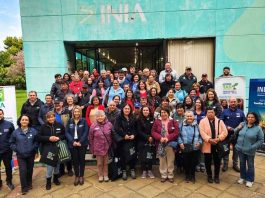 Agricultores de Ninhue y Trehuaco transitan hacia una agricultura sostenible con apoyo de INDAP e INIA Agricultores de Ninhue y Trehuaco transitan hacia una agricultura sostenible con apoyo de INDAP e INIA