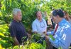 Agricultura lidera comité regional para evaluar daños por eventos climáticos en O’Higgins