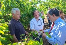 Agricultura lidera comité regional para evaluar daños por eventos climáticos en O’Higgins
