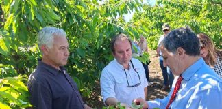 Agricultura lidera comité regional para evaluar daños por eventos climáticos en O’Higgins Agricultura lidera comité regional para evaluar daños por eventos climáticos en O’Higgins