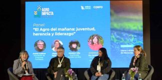 AgroImpacta Los Ríos reunirá a expertos internacionales, productores y emprendedores en La Unión y Valdivia AgroImpacta Los Ríos reunirá a expertos internacionales, productores y emprendedores en La Unión y Valdivia